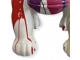 STATUE GORILLE DONKEY KONG EN RESINE 60 CM BLANC TRASH