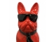 BOULEDOGUE FRAN&Ccedil;AIS EN RESINE LUNETTES/CRAVATE ROUGE-NOIR 80 CM