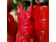 STATUE BOXER EN RESINE H 90CM