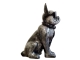 BOULEDOGUE LUNETTES CRAVATE EN RESINE H 60CM