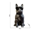 BOULEDOGUE LUNETTES CRAVATE EN RESINE H 60CM