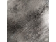 CRANE / TETE DE MORT EN RESINE H 60CM