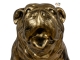 STATUE BOULEDOGUE USA EN RESINE PATINÉ OR 90 CM