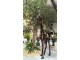 STATUE GIRAFE NOIRE SPLASH EN RESINE 210 CM