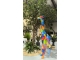 STATUE GIRAFE MULTICOLORE EN RESINE 210 CM