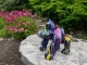 STATUE DONKEY EN RESINE TRASH NOIR 90 CM