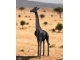 GIRAFE ORIGAMI NOIRE EN RESINE 200 CM