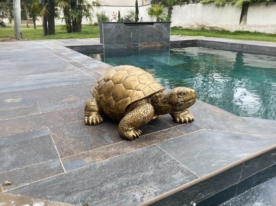 LE MONDE DES ANIMAUX Tortue déco en Magnésie 29 cm