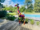 STATUE GIRAFE MULTICOLORE EN RESINE 210 CM