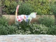 STATUE CHAT EN RESINE HT 105 CM BLANC MULTICOLORE