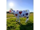 VACHE EN RESINE COEUR L 225CM