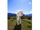 VACHE EN RESINE COEUR L 225CM