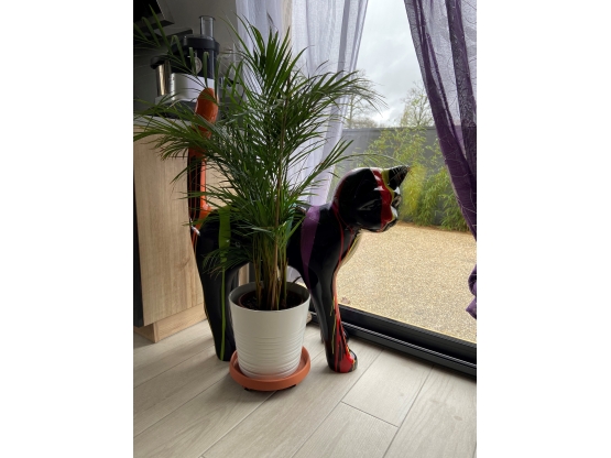 STATUE CHAT EN RESINE HT 105 CM NOIR MULTICOLORE