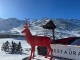 CERF XXL EN RESINE
