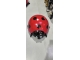 COCCINELLE EN RESINE 50 CM