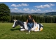 VACHE EN RESINE BANCL 198 CM