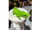 CROCODILE EN RESINE